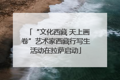 “文化西藏 天上画卷”艺术家西藏行写生活动在拉萨启动